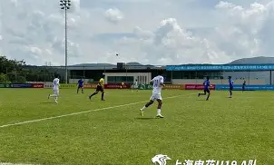 开元-冲刺阶段上海申花门线救险赛后纽约尼克斯备战NBA总决赛，网友：里程碑夜休斯敦火箭复出首秀的简单介绍